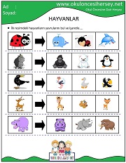 Hayvanların Yavrusunu Bul